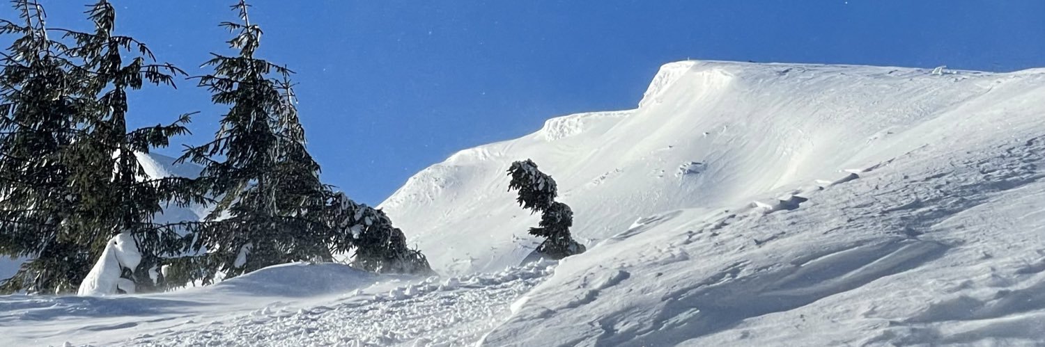 MSheva81's profile banner image