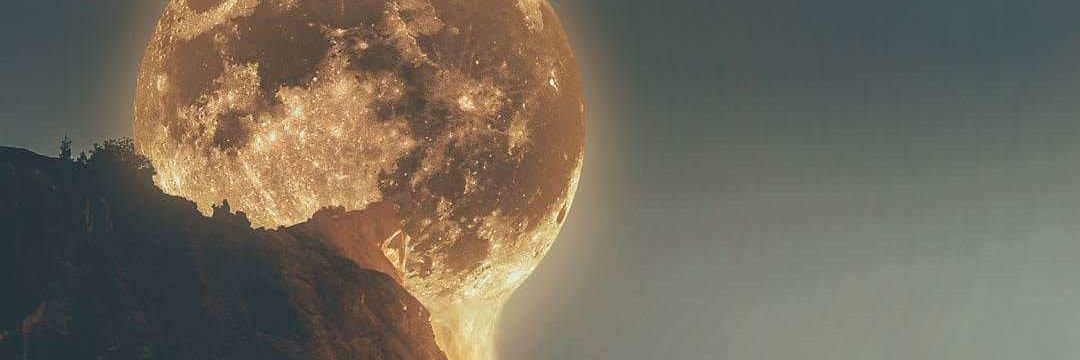 mokademcc's profile banner image