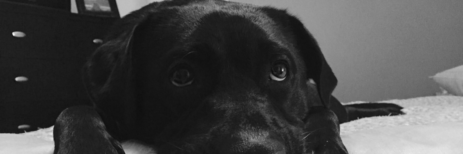 kbmuldoon's profile banner image
