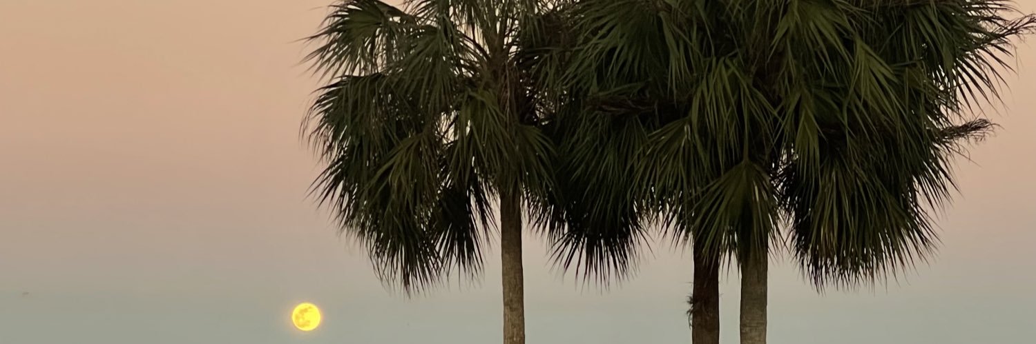 _arelynataly's profile banner image