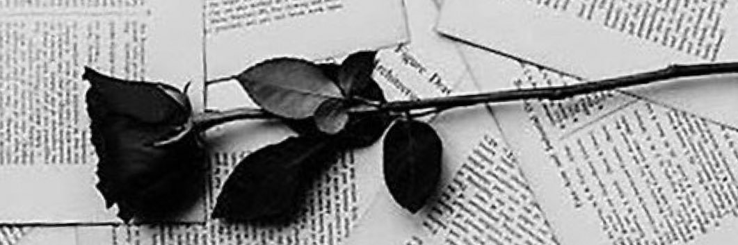 Powell98Megan's profile banner image