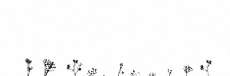 tor_rowe's profile banner image