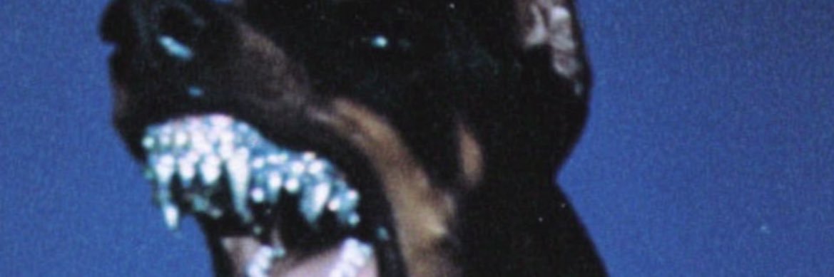 3Playmak's profile banner image
