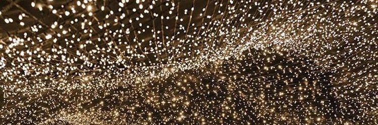 V banner
