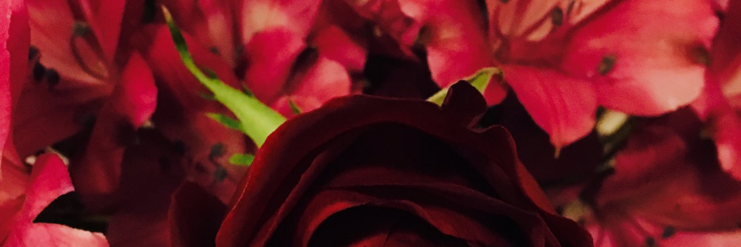 NikWilliams85's profile banner image