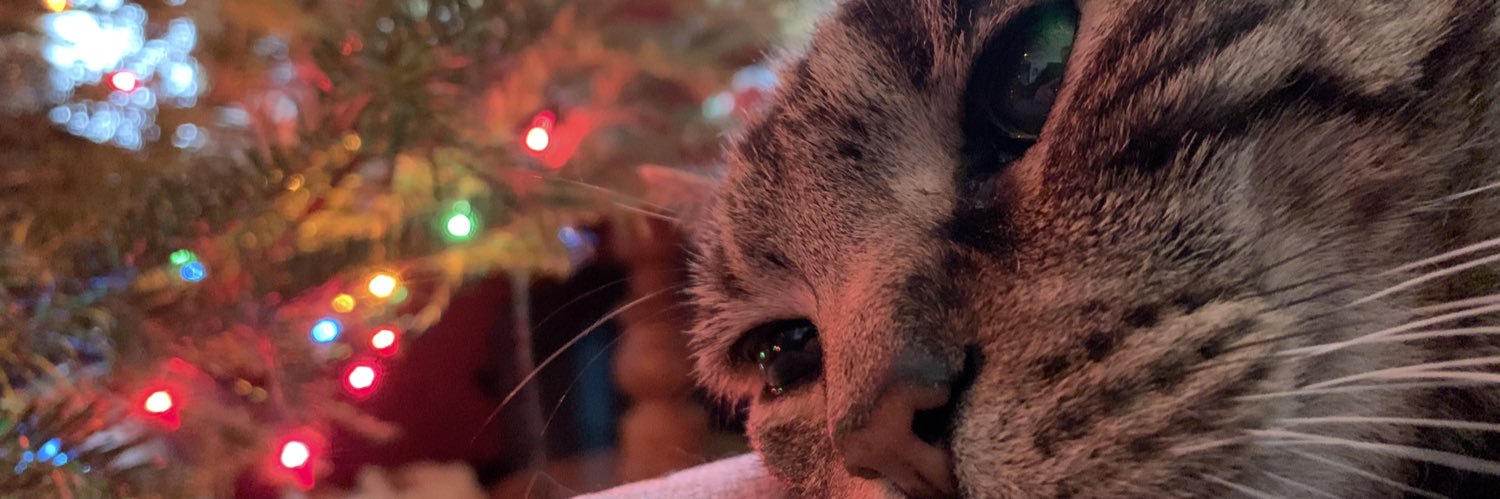 Maxwell Miles Candlen banner