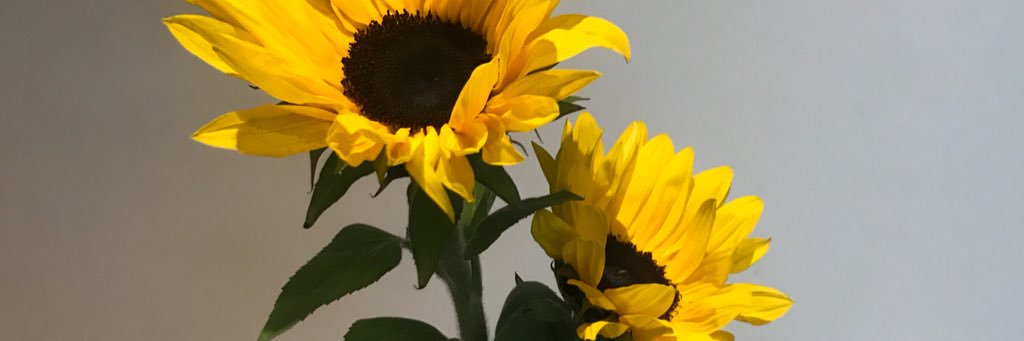 c_hels95's profile banner image