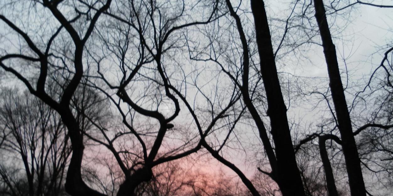 WingkiuCynthia's profile banner image