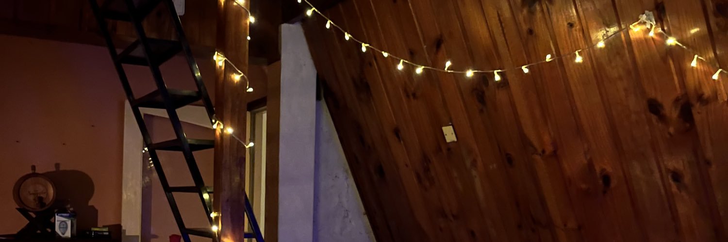 delfiesterellas's profile banner image
