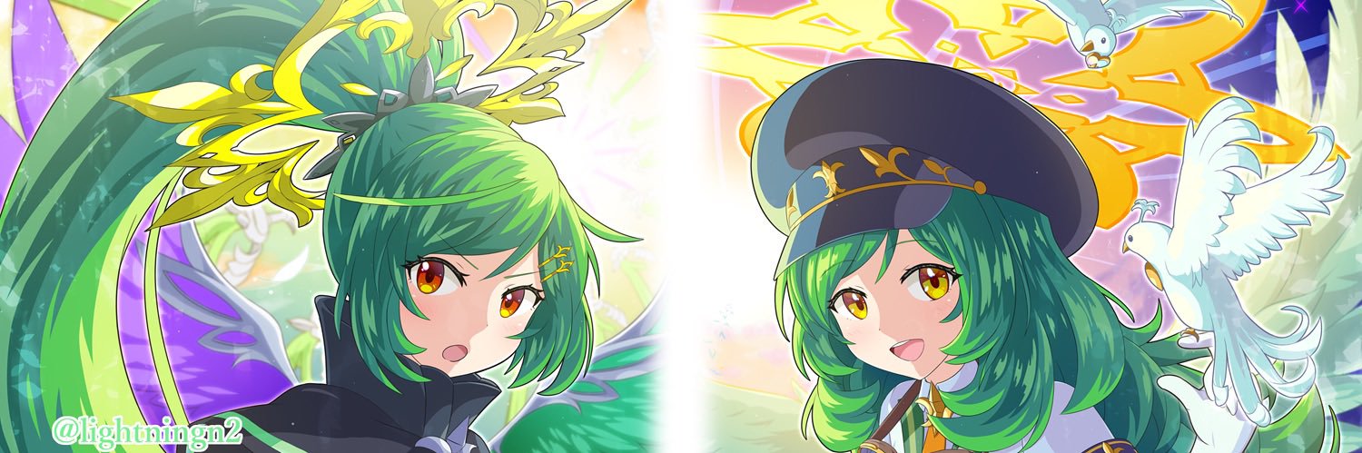 N2 banner