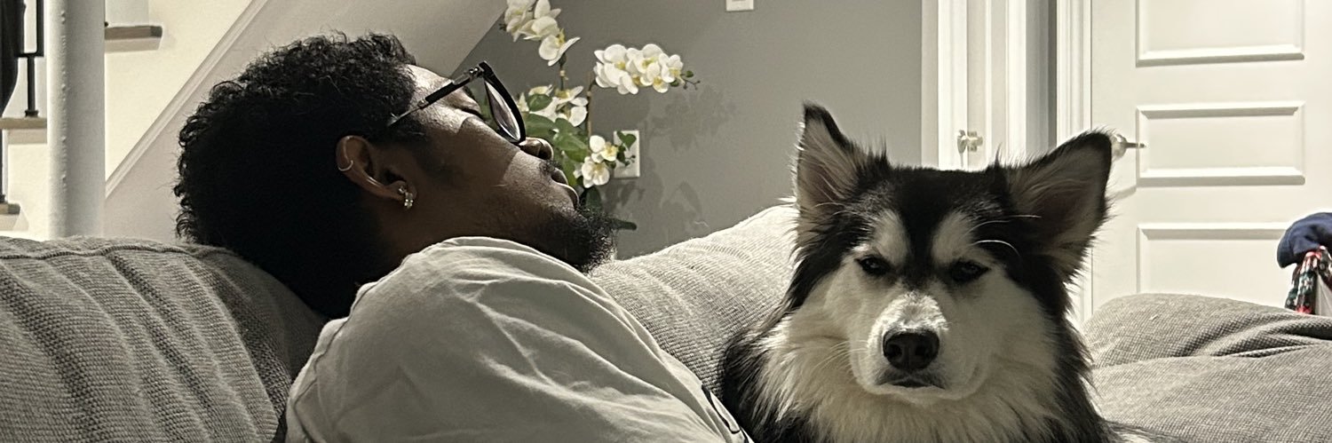dnmr_'s profile banner image