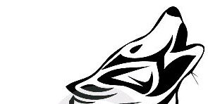 TorreDragon's profile banner image