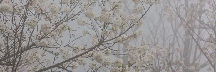kazecos's profile banner image
