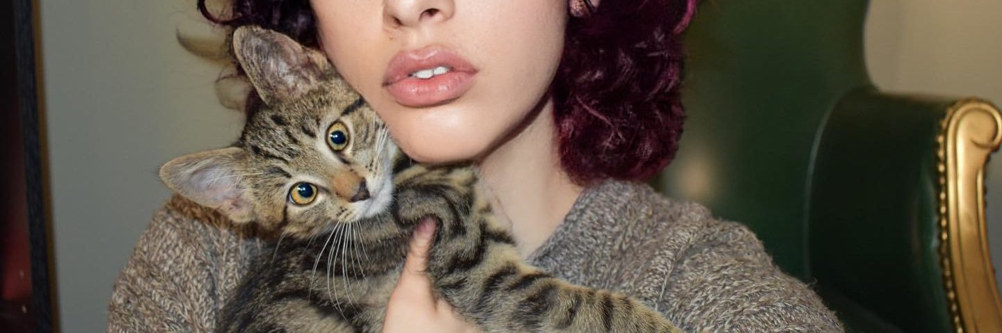 yespleaseashlee's profile banner image