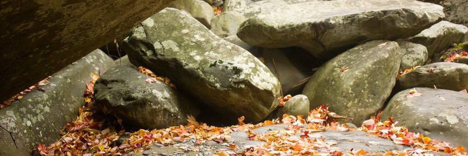 du0665's profile banner image