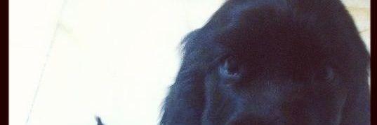 martacs_'s profile banner image