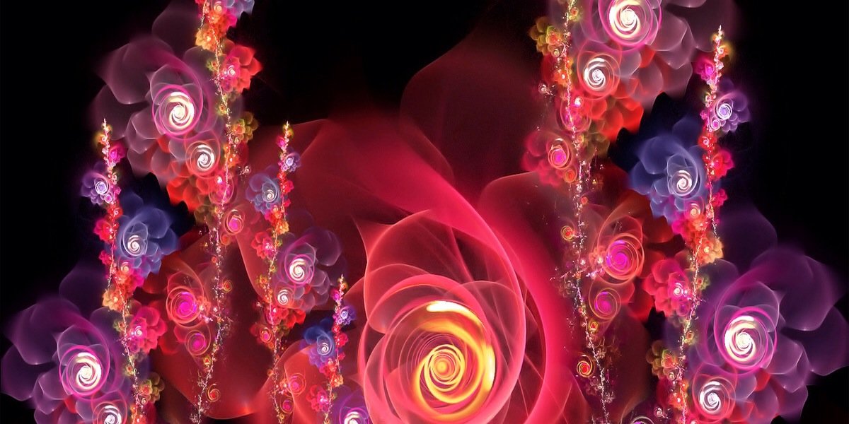73NNIROSE's profile banner image