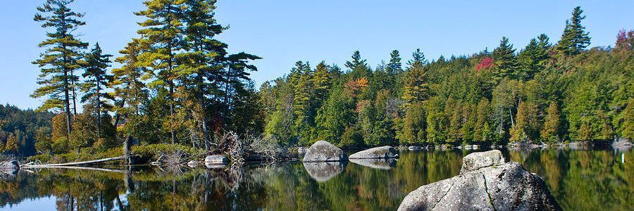 Thaddeus Edgerton banner