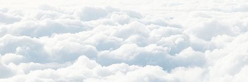trillywonka69's profile banner image