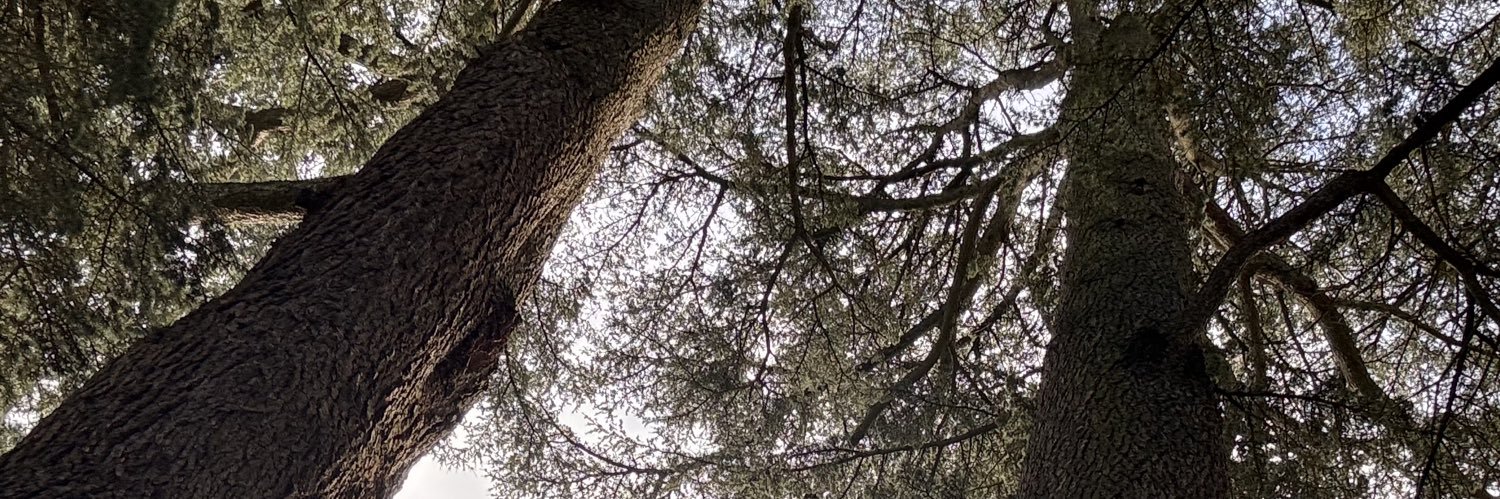 Exmraude's profile banner image