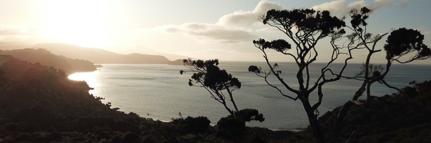 purepods's profile banner image