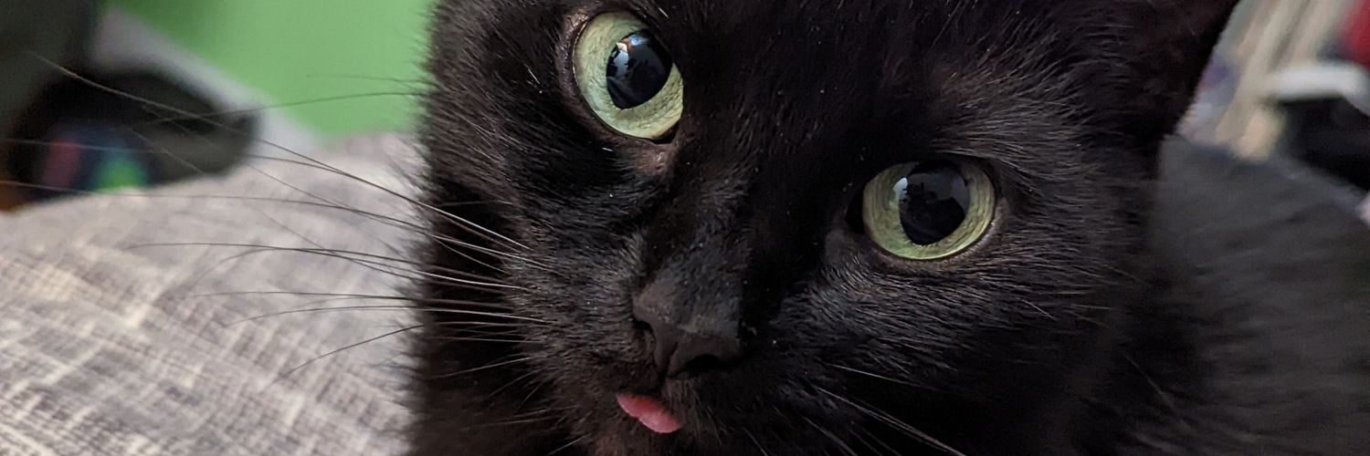 carter_maresh's profile banner image