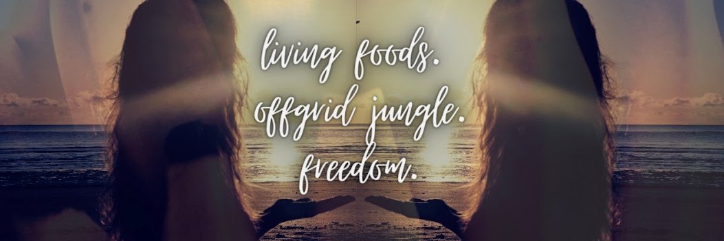 Freelee the banana girl banner