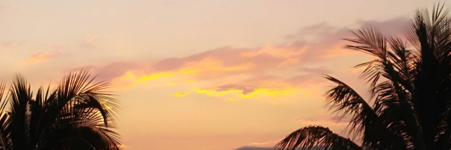 LauraArroyave14's profile banner image