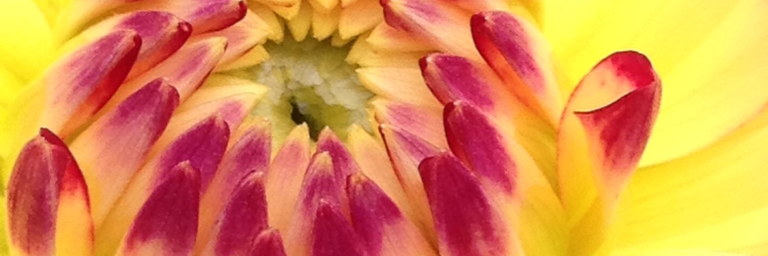 kathhave's profile banner image