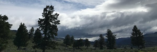 wtibitowski Profile Banner