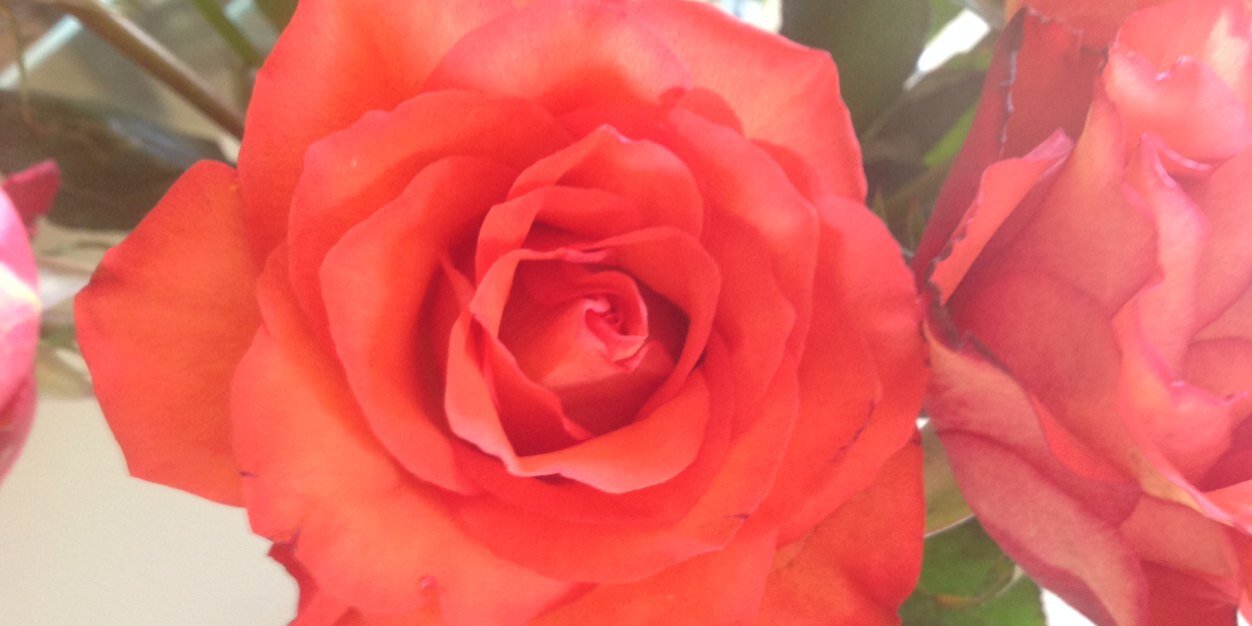 annmee6549's profile banner image