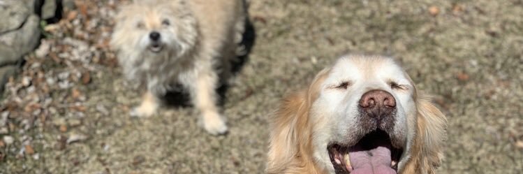 Chloeeel_'s profile banner image