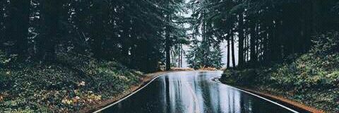 JeniMiller98's profile banner image