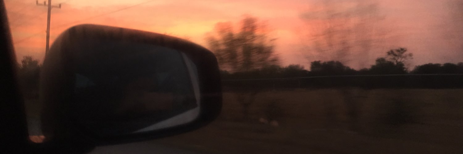 MerariiSalazar's profile banner image