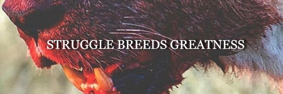 _Rursus's profile banner image