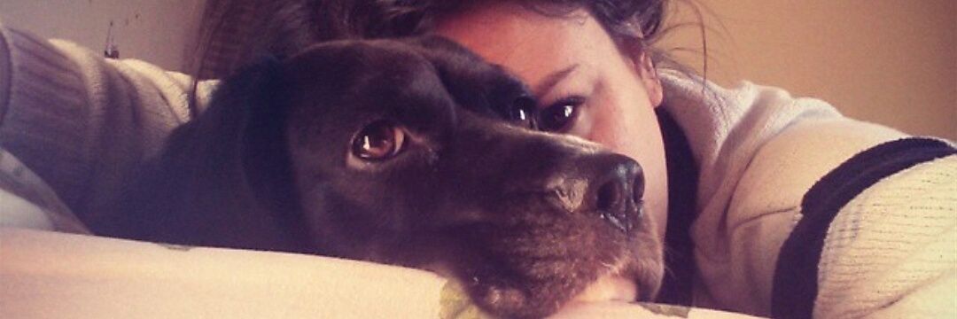 Özz'ün dünyası 🐾 banner