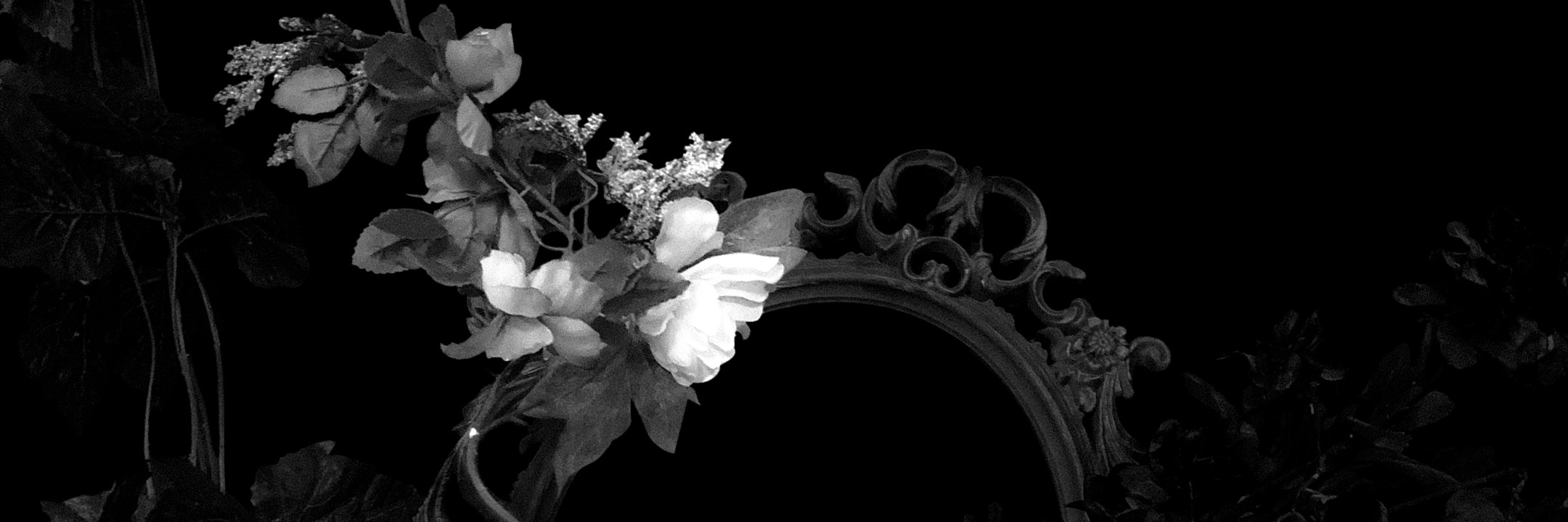 iamprpl's profile banner image