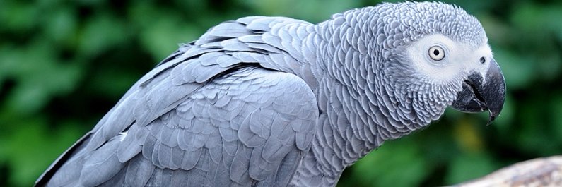 Tee_McF's profile banner image