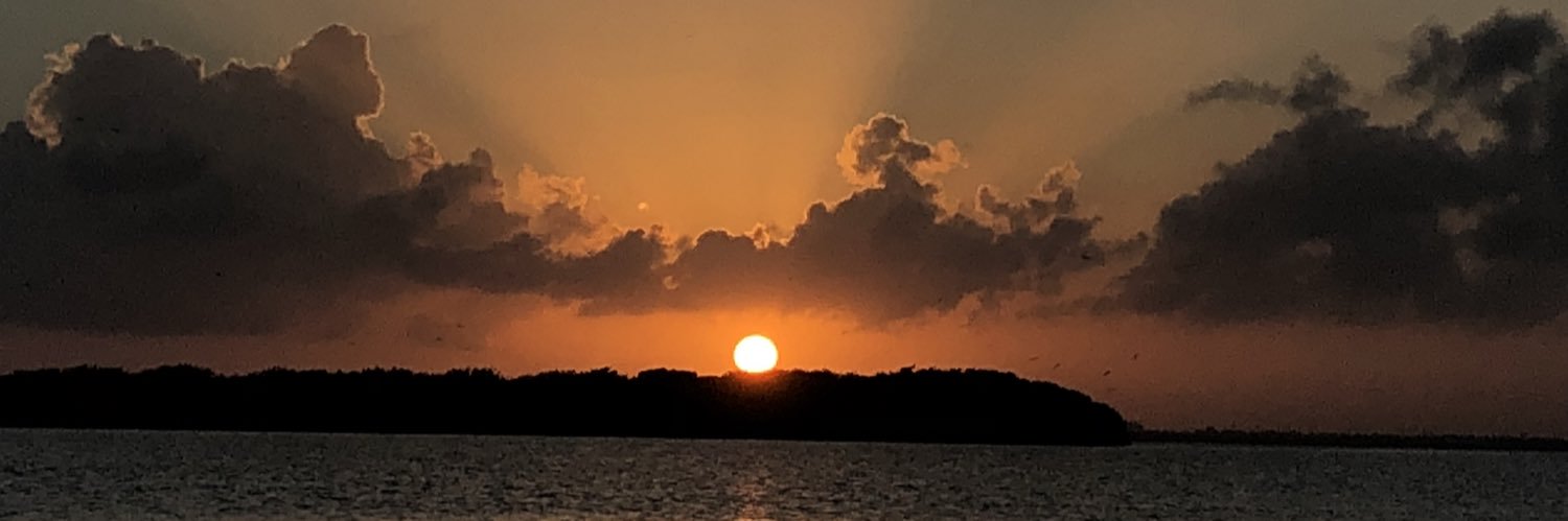 joan_navr's profile banner image
