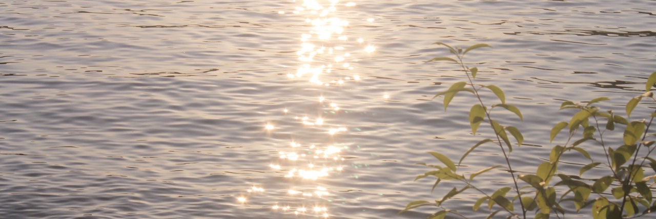 DeiCorina's profile banner image