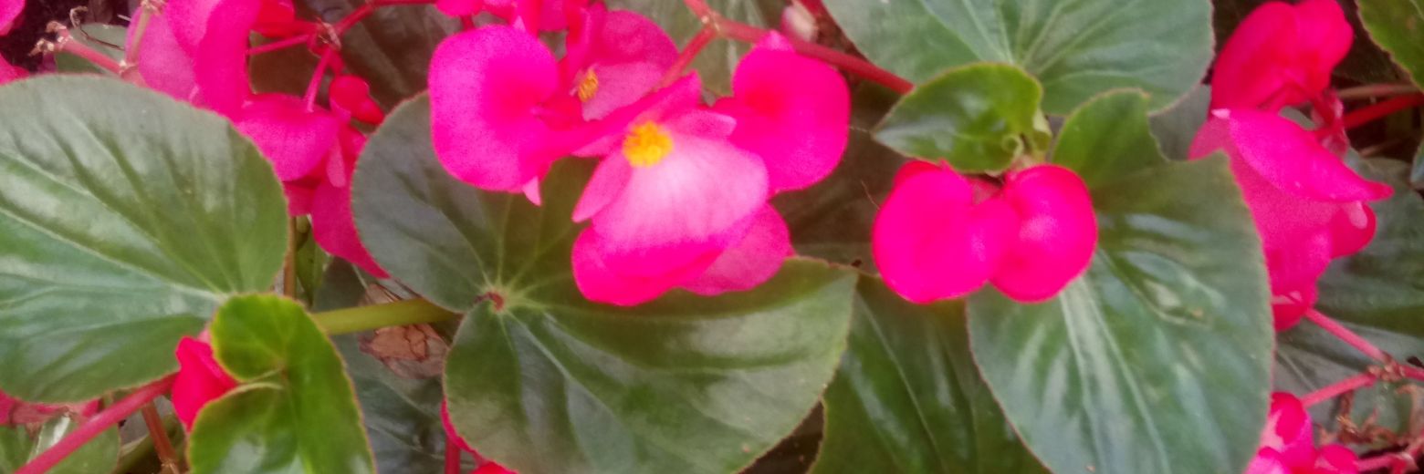 anric76's profile banner image