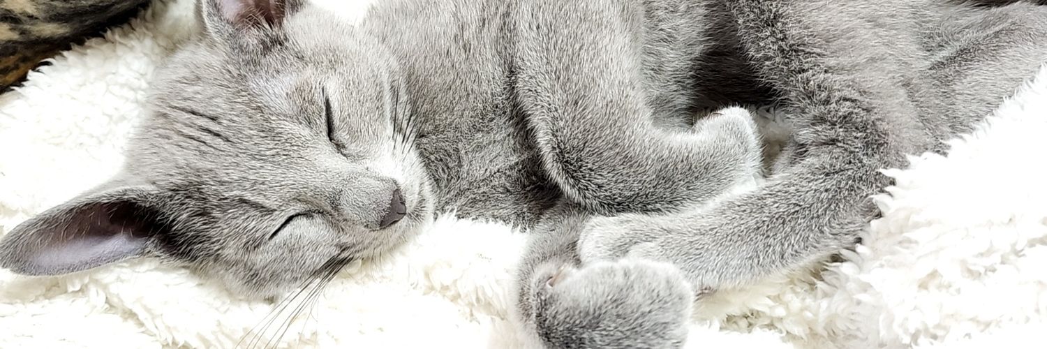 __ituka__'s profile banner image