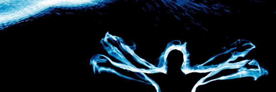 SICHHSA's profile banner image