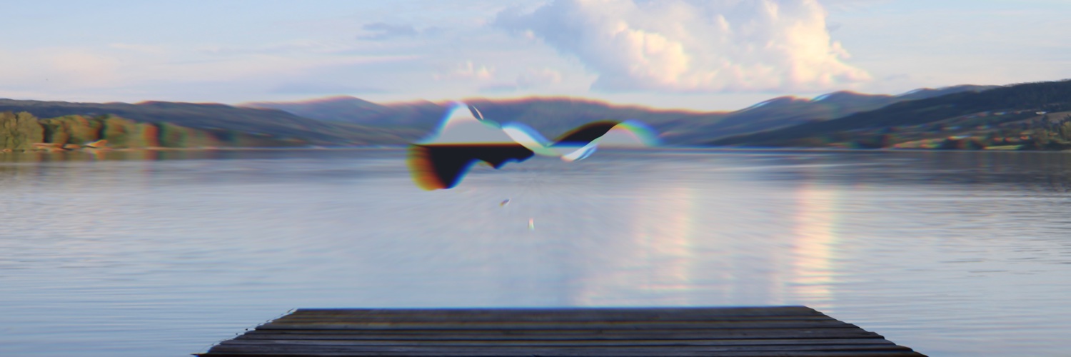 Thiago Pospichil Marques banner