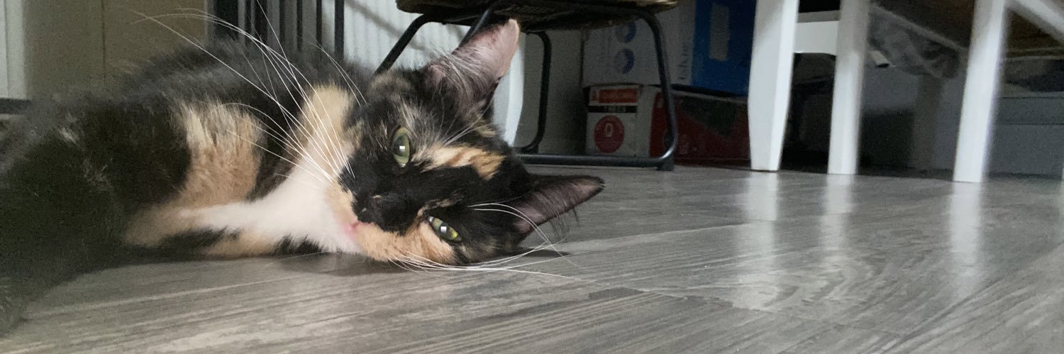cindyextended's profile banner image