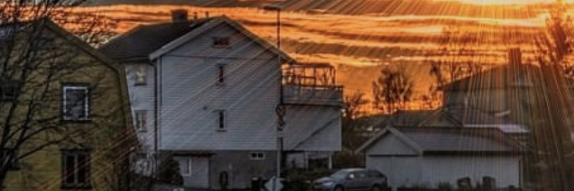 Shawntreezy's profile banner image