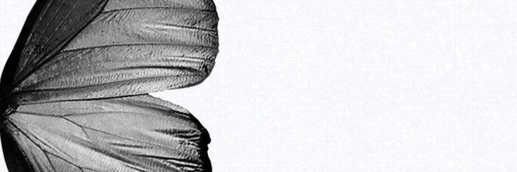 slstrawberry_'s profile banner image