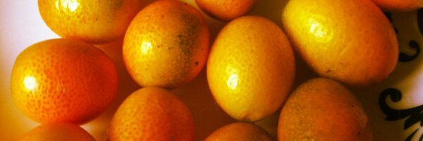 _jonsanta Profile Banner