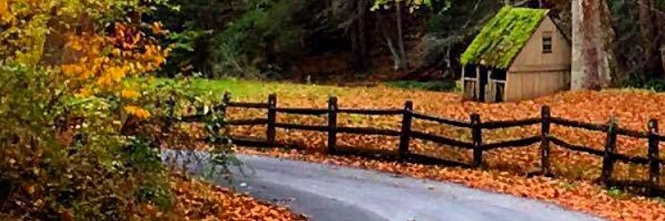 MichelleCorace's profile banner image