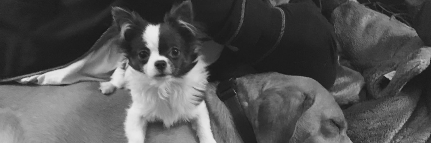 Annievegan's profile banner image
